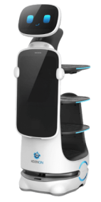 robotica-dinerbot-t10